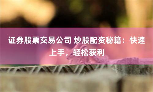 证券股票交易公司 炒股配资秘籍：快速上手，轻松获利