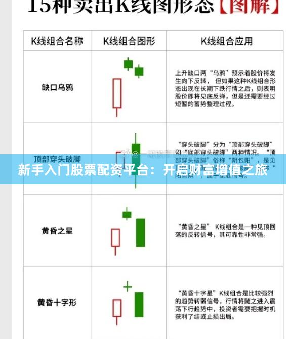 新手入门股票配资平台：开启财富增值之旅